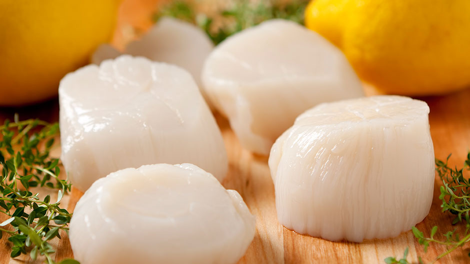 Prefectly sized scallops ready to eat.